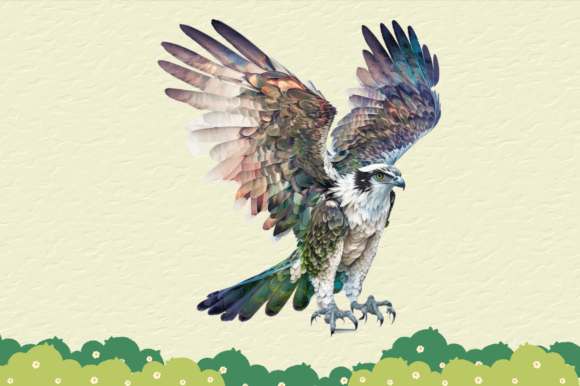 Download Custom Bird Digital Illustration Art - Digital illustration Collection