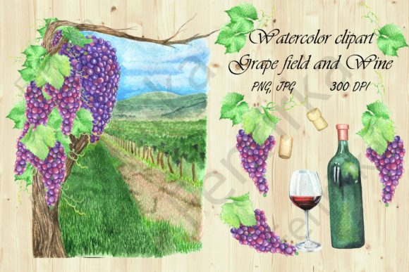 Download Watercolor Clipart Grape Field and Wine - Premium Resources